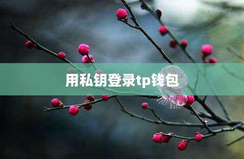 用私钥登录tp钱包