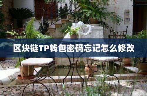 区块链TP钱包密码忘记怎么修改