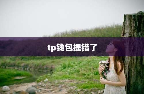 tp钱包提错了