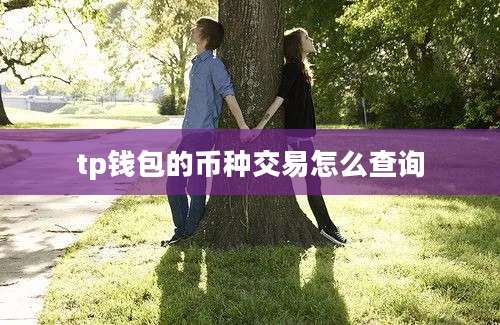 tp钱包的币种交易怎么查询