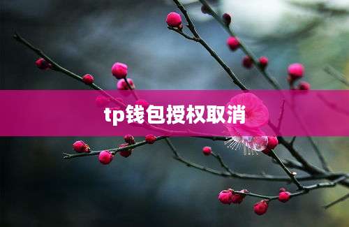 tp钱包授权取消