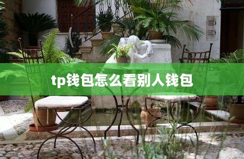 tp钱包怎么看别人钱包