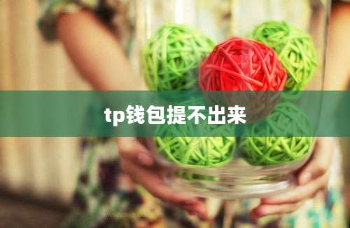 tp钱包提不出来