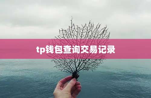 tp钱包查询交易记录