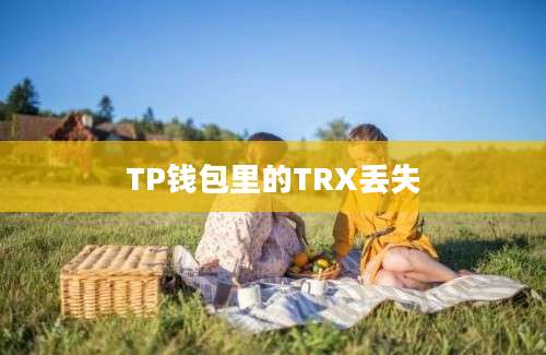 TP钱包里的TRX丢失