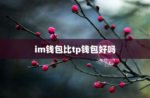 im钱包比tp钱包好吗