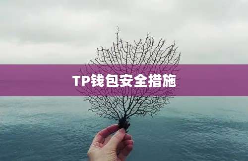 TP钱包安全措施