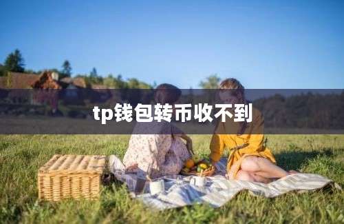 tp钱包转币收不到