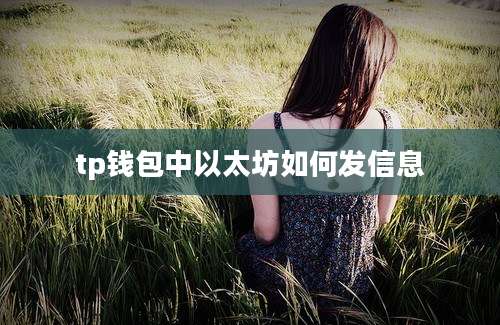 tp钱包中以太坊如何发信息