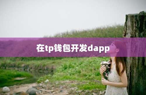 在tp钱包开发dapp