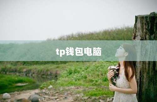 tp钱包电脑
