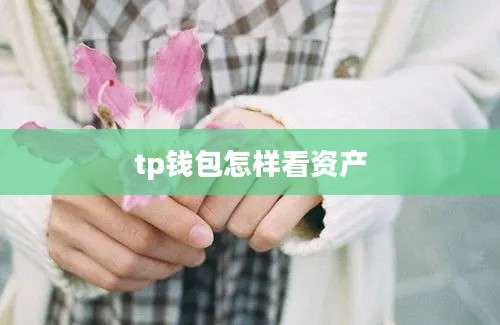 tp钱包怎样看资产