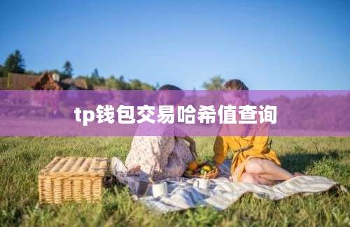 tp钱包交易哈希值查询