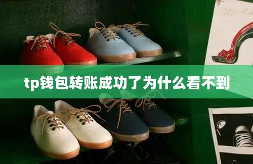 tp钱包转账成功了为什么看不到