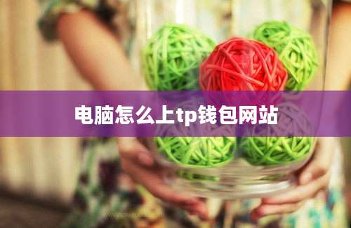 电脑怎么上tp钱包网站