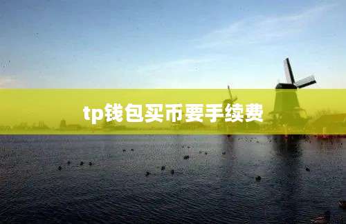 tp钱包买币要手续费