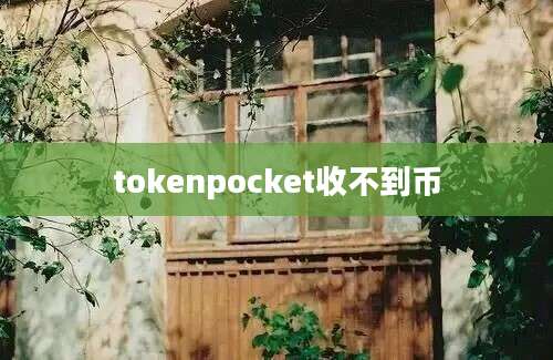 tokenpocket收不到币
