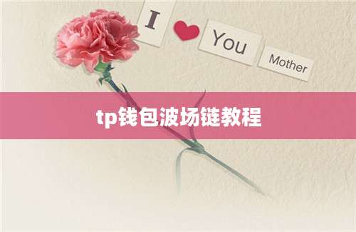 tp钱包波场链教程
