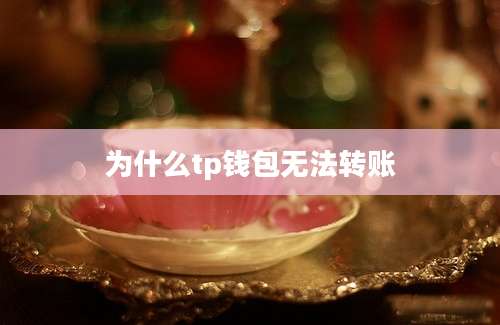 为什么tp钱包无法转账