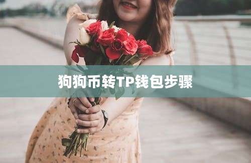 狗狗币转TP钱包步骤