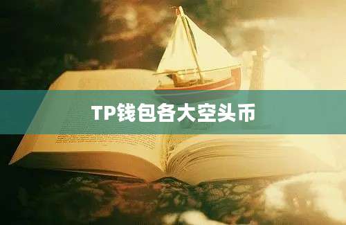 TP钱包各大空头币