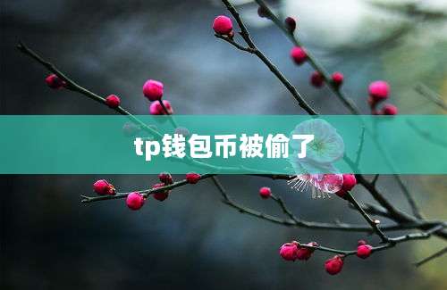 tp钱包币被偷了