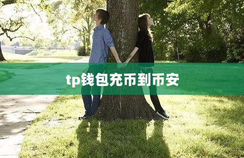 tp钱包充币到币安