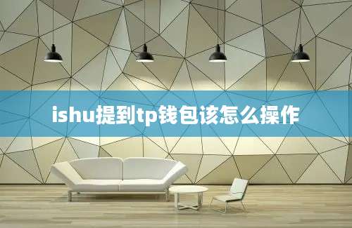 ishu提到tp钱包该怎么操作