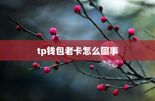 tp钱包老卡怎么回事