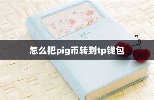 怎么把pig币转到tp钱包