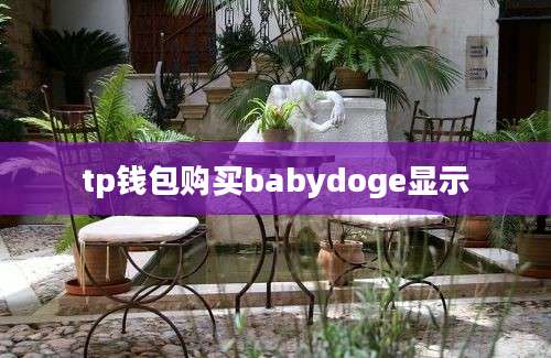 tp钱包购买babydoge显示