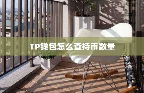 TP钱包怎么查持币数量
