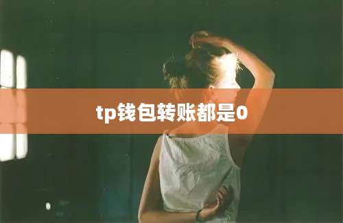 tp钱包转账都是0
