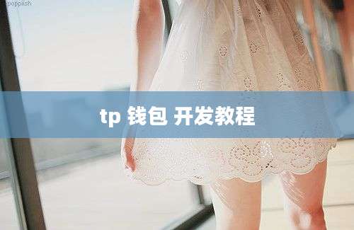 tp 钱包 开发教程
