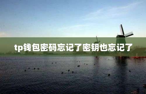 tp钱包密码忘记了密钥也忘记了