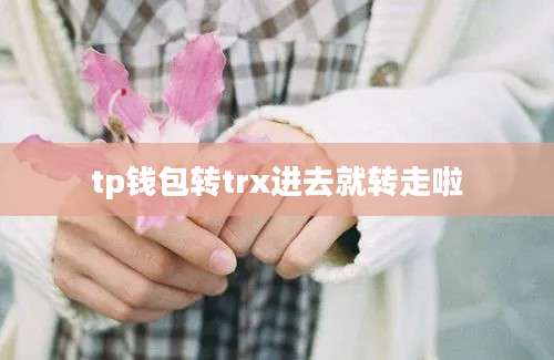 tp钱包转trx进去就转走啦