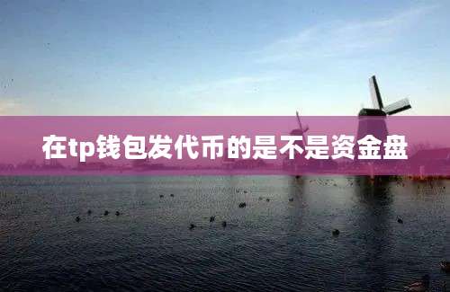 在tp钱包发代币的是不是资金盘