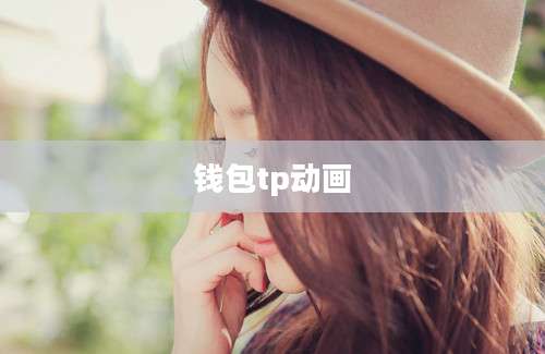 钱包tp动画