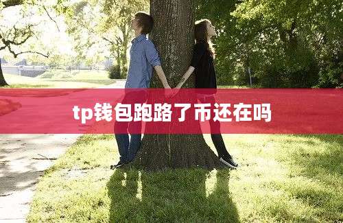 tp钱包跑路了币还在吗