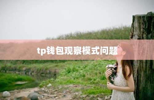 tp钱包观察模式问题