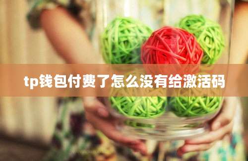 tp钱包付费了怎么没有给激活码