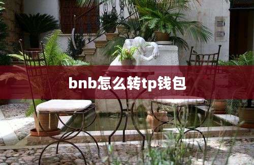 bnb怎么转tp钱包