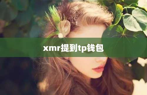 xmr提到tp钱包