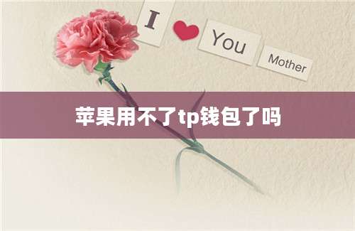 苹果用不了tp钱包了吗