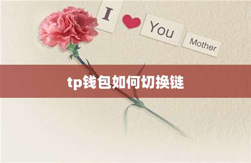 tp钱包如何切换链