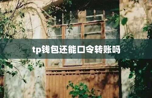 tp钱包还能口令转账吗