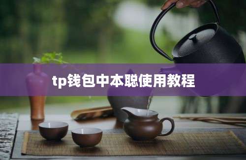 tp钱包中本聪使用教程
