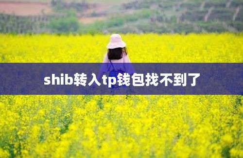 shib转入tp钱包找不到了