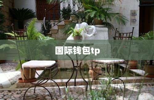 国际钱包tp