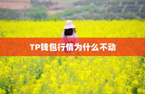 TP钱包行情为什么不动